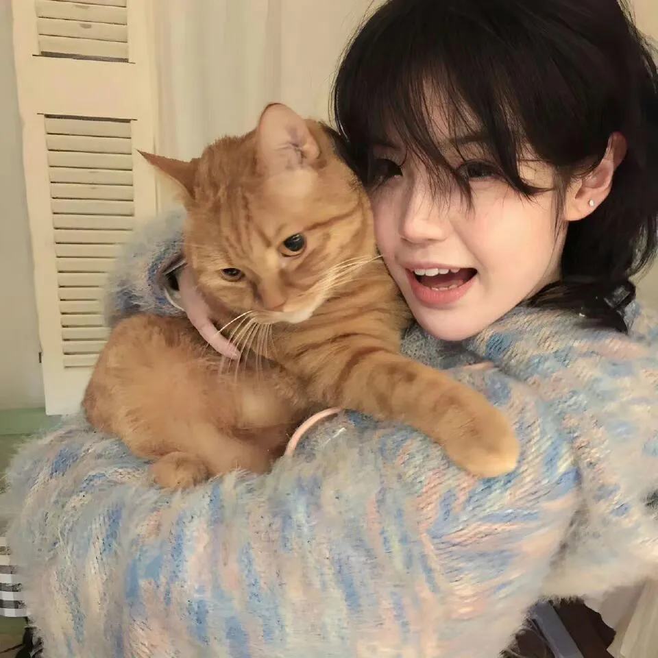 看到他们就会明白