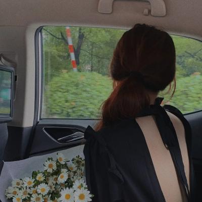 顾先生你的白月光给你生崽了